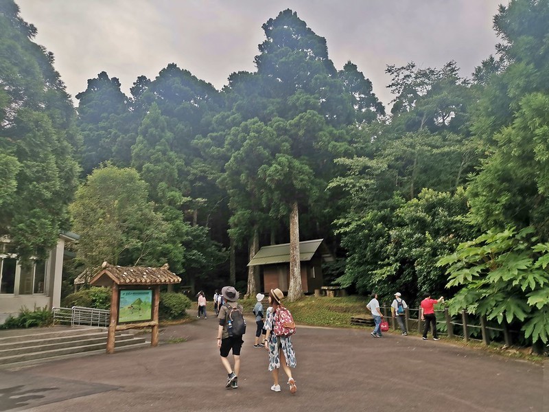 桃園小百岳|東眼山森林遊樂區/東眼山步道 桃園小百岳|東眼山森林遊樂區/東眼山步道