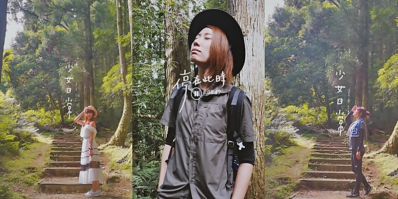 桃園小百岳|東眼山森林遊樂區/東眼山步道 桃園小百岳|東眼山森林遊樂區/東眼山步道