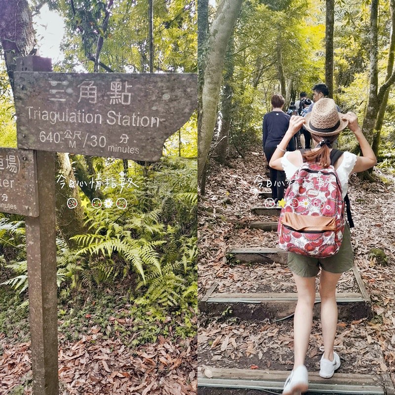 桃園小百岳|東眼山森林遊樂區/東眼山步道 桃園小百岳|東眼山森林遊樂區/東眼山步道