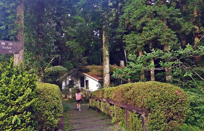 桃園小百岳|東眼山森林遊樂區/東眼山步道 桃園小百岳|東眼山森林遊樂區/東眼山步道