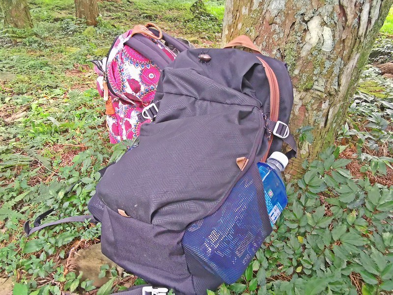 桃園小百岳|東眼山森林遊樂區/東眼山步道 桃園小百岳|東眼山森林遊樂區/東眼山步道