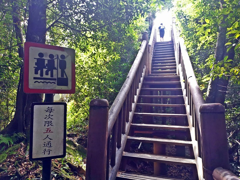 桃園小百岳|東眼山森林遊樂區/東眼山步道 桃園小百岳|東眼山森林遊樂區/東眼山步道