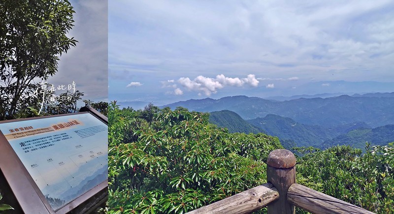 桃園小百岳|東眼山森林遊樂區/東眼山步道 桃園小百岳|東眼山森林遊樂區/東眼山步道