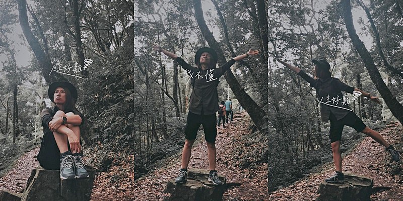 桃園小百岳|東眼山森林遊樂區/東眼山步道 桃園小百岳|東眼山森林遊樂區/東眼山步道