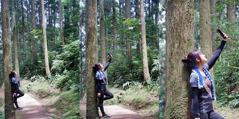 桃園小百岳|東眼山森林遊樂區/東眼山步道 桃園小百岳|東眼山森林遊樂區/東眼山步道