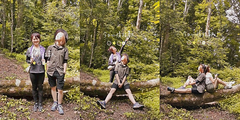 桃園小百岳|東眼山森林遊樂區/東眼山步道 桃園小百岳|東眼山森林遊樂區/東眼山步道