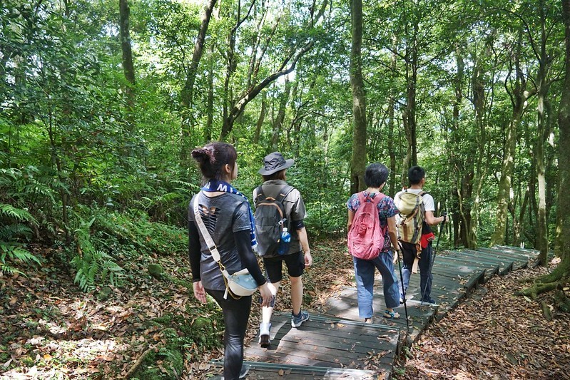 桃園小百岳|東眼山森林遊樂區/東眼山步道 桃園小百岳|東眼山森林遊樂區/東眼山步道