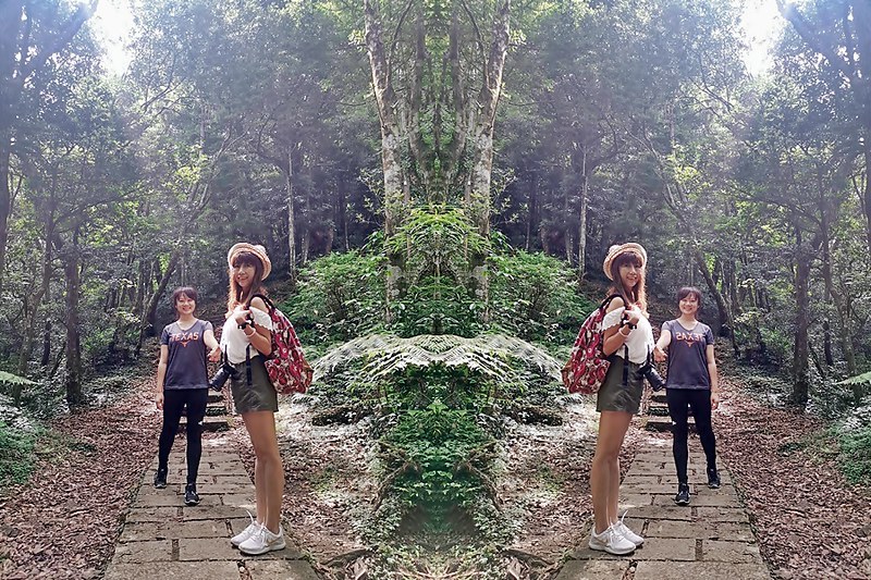 桃園小百岳|東眼山森林遊樂區/東眼山步道 桃園小百岳|東眼山森林遊樂區/東眼山步道