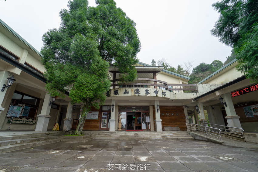 桃園景點》賞櫻秘境 東眼山國家森林遊樂區 穿梭電影般的迷霧森林夢幻場景 - 艾莉絲愛旅行