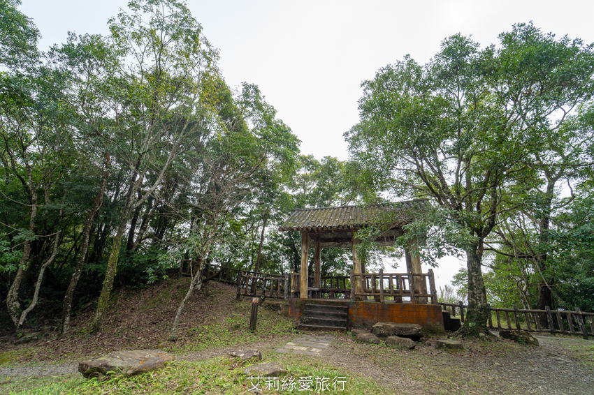 桃園景點》賞櫻秘境 東眼山國家森林遊樂區 穿梭電影般的迷霧森林夢幻場景 - 艾莉絲愛旅行