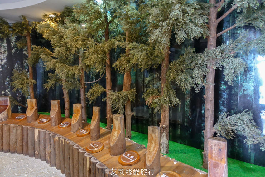 桃園景點》賞櫻秘境 東眼山國家森林遊樂區 穿梭電影般的迷霧森林夢幻場景 - 艾莉絲愛旅行