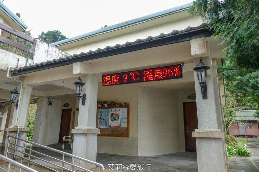 桃園景點》賞櫻秘境 東眼山國家森林遊樂區 穿梭電影般的迷霧森林夢幻場景 - 艾莉絲愛旅行