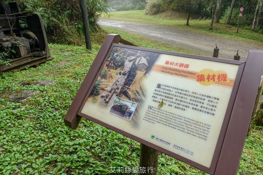 桃園景點》賞櫻秘境 東眼山國家森林遊樂區 穿梭電影般的迷霧森林夢幻場景 - 艾莉絲愛旅行