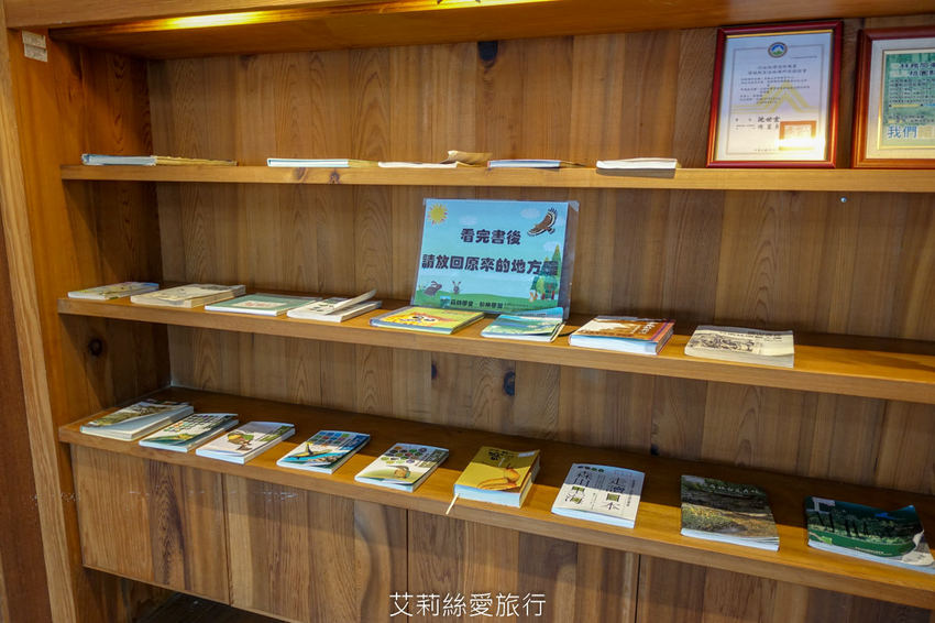 桃園景點》賞櫻秘境 東眼山國家森林遊樂區 穿梭電影般的迷霧森林夢幻場景 - 艾莉絲愛旅行