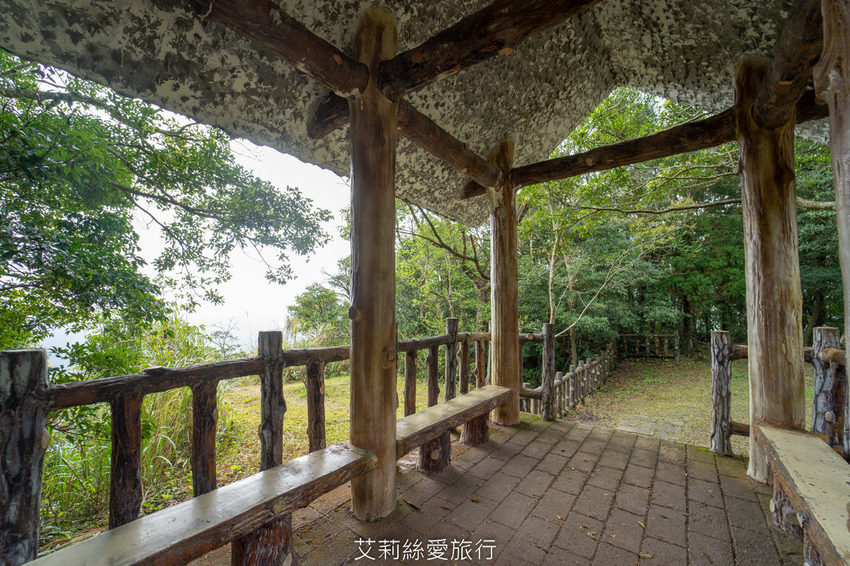 桃園景點》賞櫻秘境 東眼山國家森林遊樂區 穿梭電影般的迷霧森林夢幻場景 - 艾莉絲愛旅行