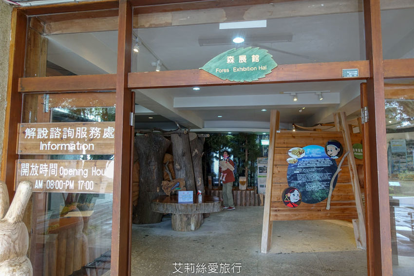 桃園景點》賞櫻秘境 東眼山國家森林遊樂區 穿梭電影般的迷霧森林夢幻場景 - 艾莉絲愛旅行