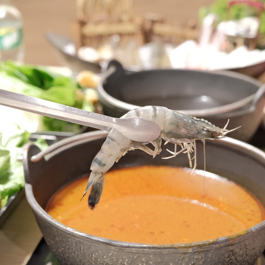 【民生社區火鍋推薦】參木鍋物～飲料、茶凍、明治冰淇淋、自助吧吃到飽！湯頭肉質超美味、松山必吃美食！