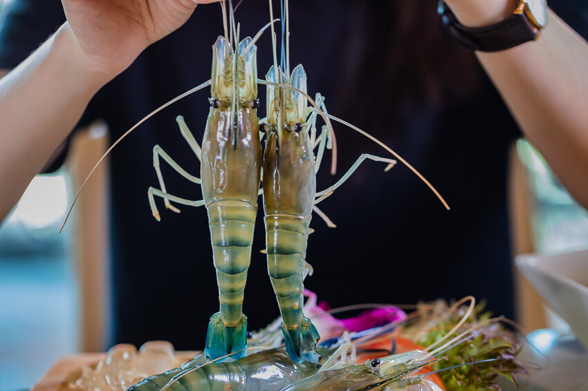 屏東泰國蝦料理專賣店X泰國蝦創意料理 寵物友善親子餐廳 旋轉木馬 軌道小火車 -黃金蝦無毒泰國蝦