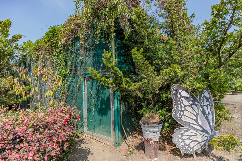 屏東泰國蝦料理專賣店X泰國蝦創意料理 寵物友善親子餐廳 旋轉木馬 軌道小火車 -黃金蝦無毒泰國蝦