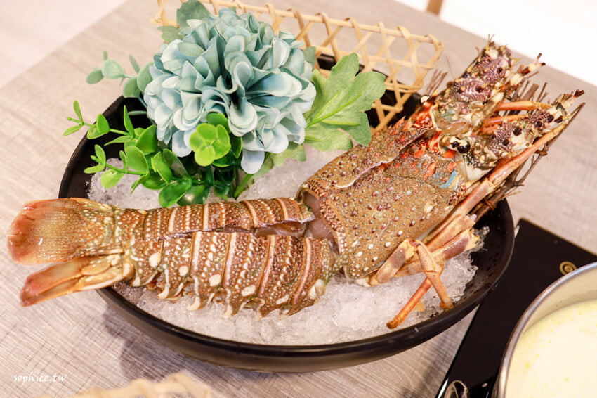 板橋火鍋推薦》樂釜LOVE JOT POT極上鍋物板橋店 府中美食 高品質新鮮好吃 鍋底選擇豐富 還有冰淇淋吃到飽！ - 蘇菲漫旅