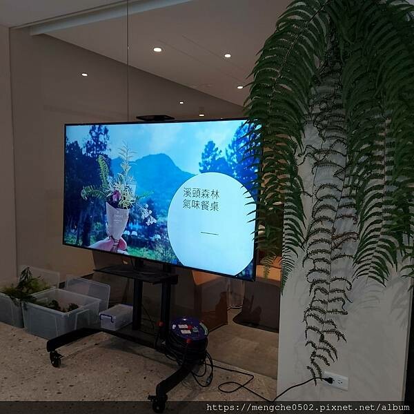 溪頭福華渡假飯店-看到螢火蟲和滿天星星，在溪頭享受森林浴與美味自助晚餐