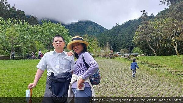 溪頭福華渡假飯店-看到螢火蟲和滿天星星，在溪頭享受森林浴與美味自助晚餐