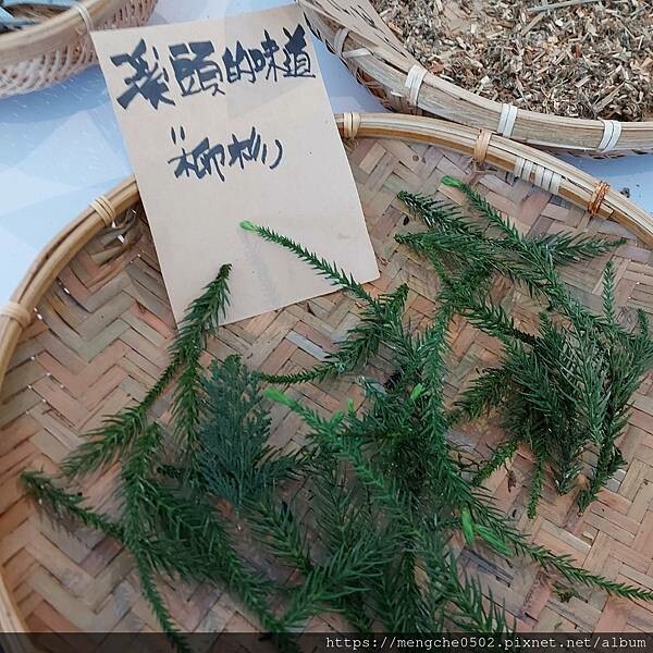 溪頭福華渡假飯店-看到螢火蟲和滿天星星，在溪頭享受森林浴與美味自助晚餐