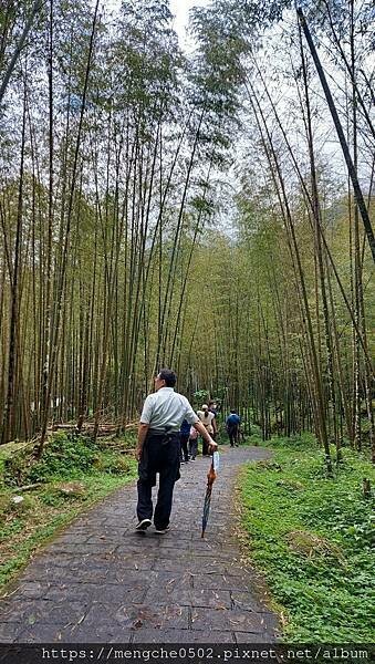 溪頭福華渡假飯店-看到螢火蟲和滿天星星，在溪頭享受森林浴與美味自助晚餐