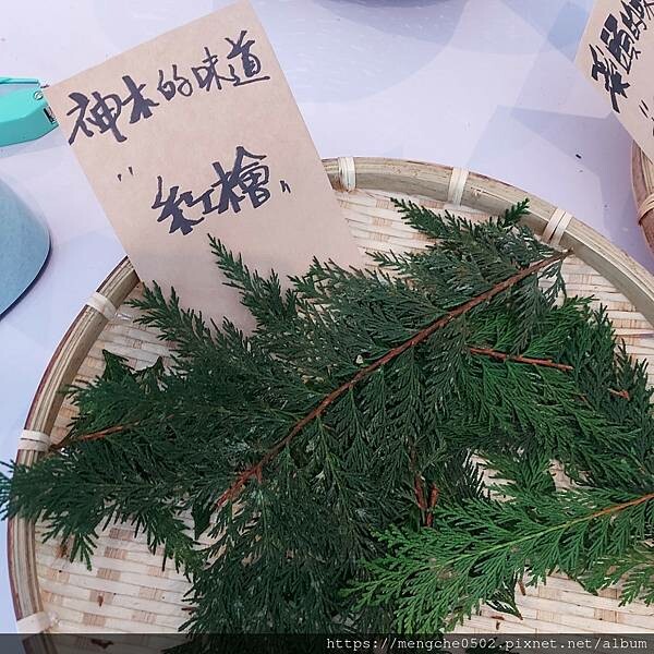 溪頭福華渡假飯店-看到螢火蟲和滿天星星，在溪頭享受森林浴與美味自助晚餐