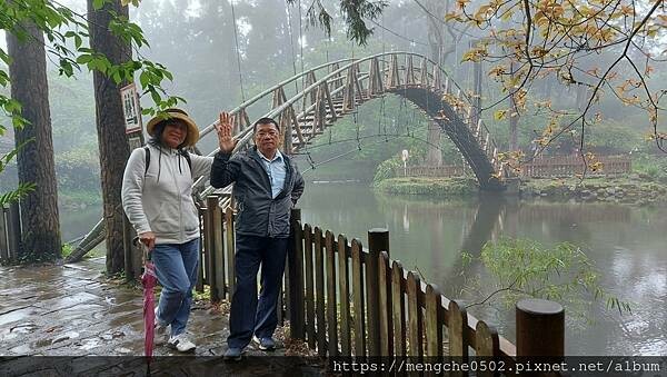 溪頭福華渡假飯店-看到螢火蟲和滿天星星，在溪頭享受森林浴與美味自助晚餐