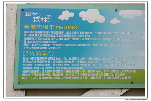 《幸福行》桃園復興‧綠光森林富野綿羊休閒農場(露營車x沙坑x餵食綿羊)