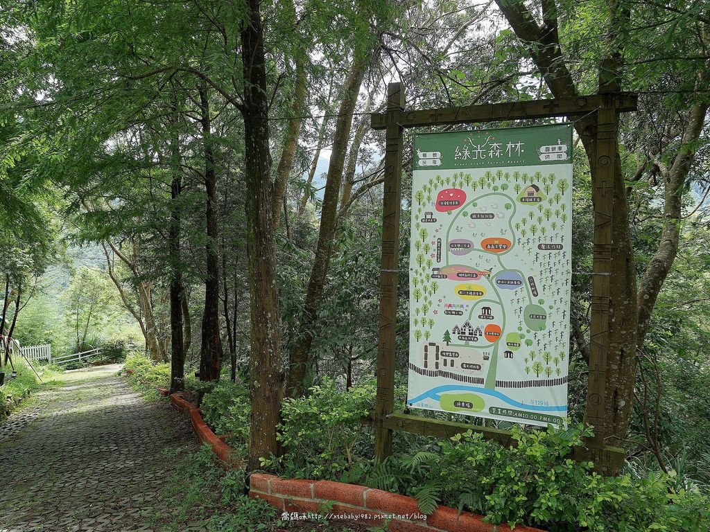綠光森林48.jpg