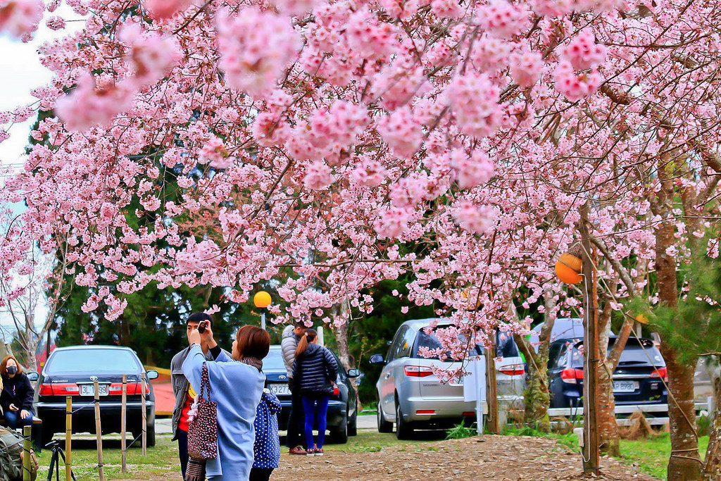 28695775_10216118201175705_1007019454_o