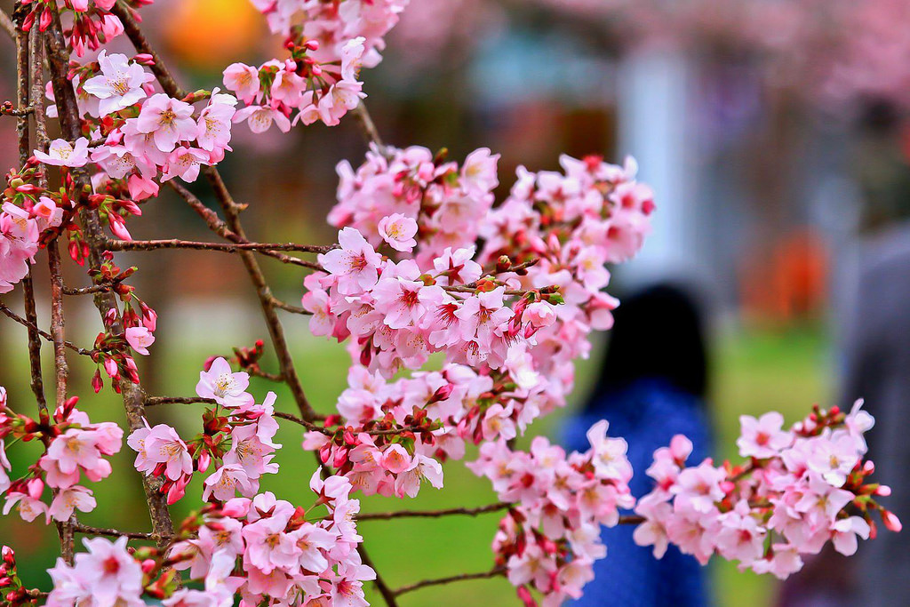 28584889_10216118200415686_1227746297_o