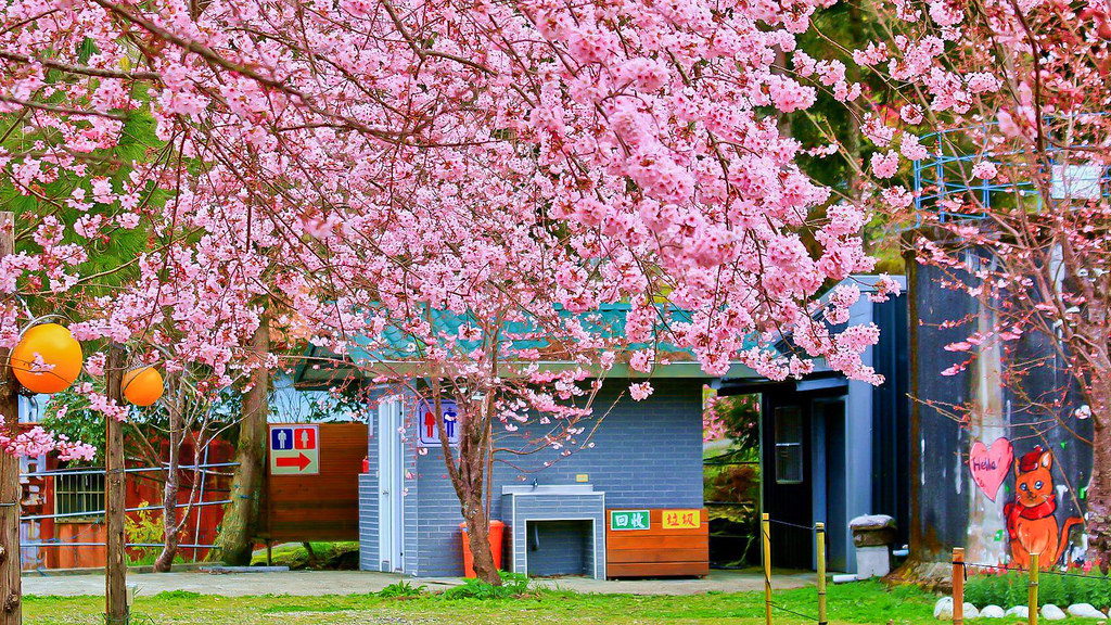 28641157_10216118196935599_889706527_o