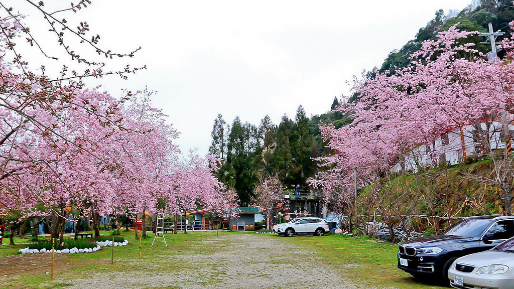 28695330_10216118196615591_1890373912_o