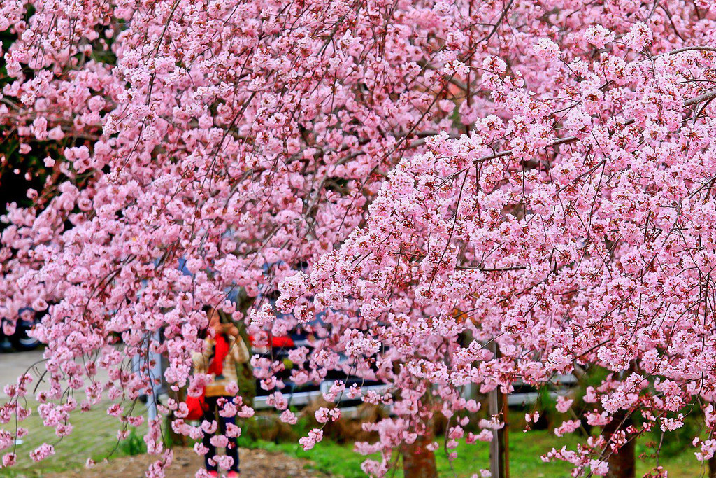 28580526_10216118199575665_1303130335_o