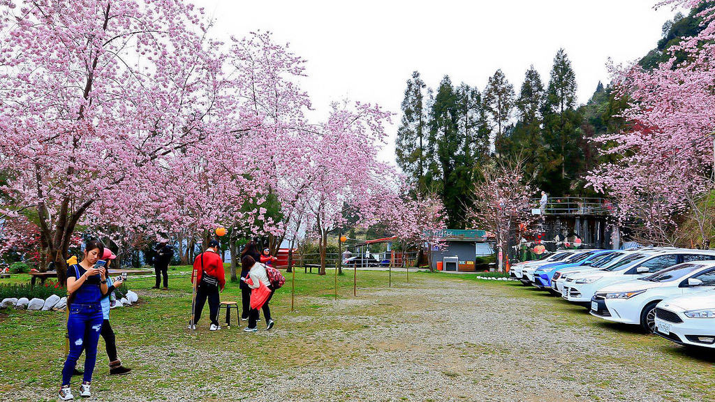 28583975_10216118197015601_1991231844_o