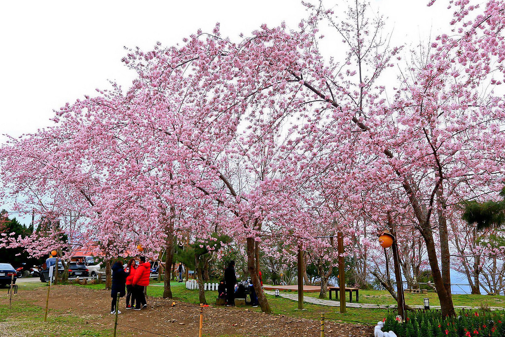 28694118_10216118198535639_905385508_o