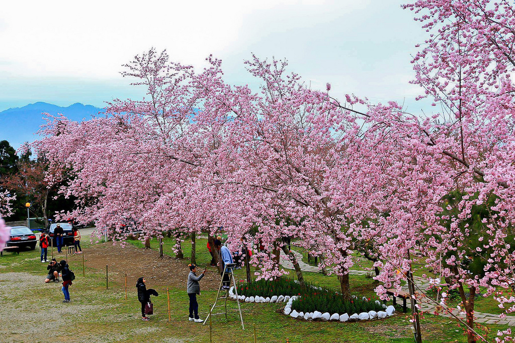 28641418_10216118198975650_1801275781_o