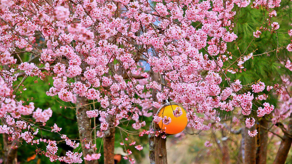 28642548_10216118196655592_1989283623_o