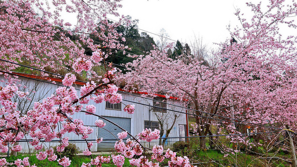 28580581_10216118198815646_1963258163_o