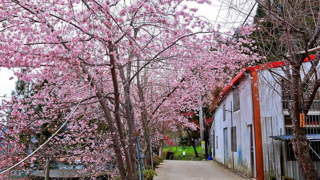 28641056_10216118198895648_1347100720_o