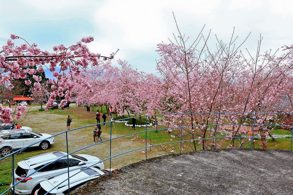 28641160_10216118198855647_1599190503_o