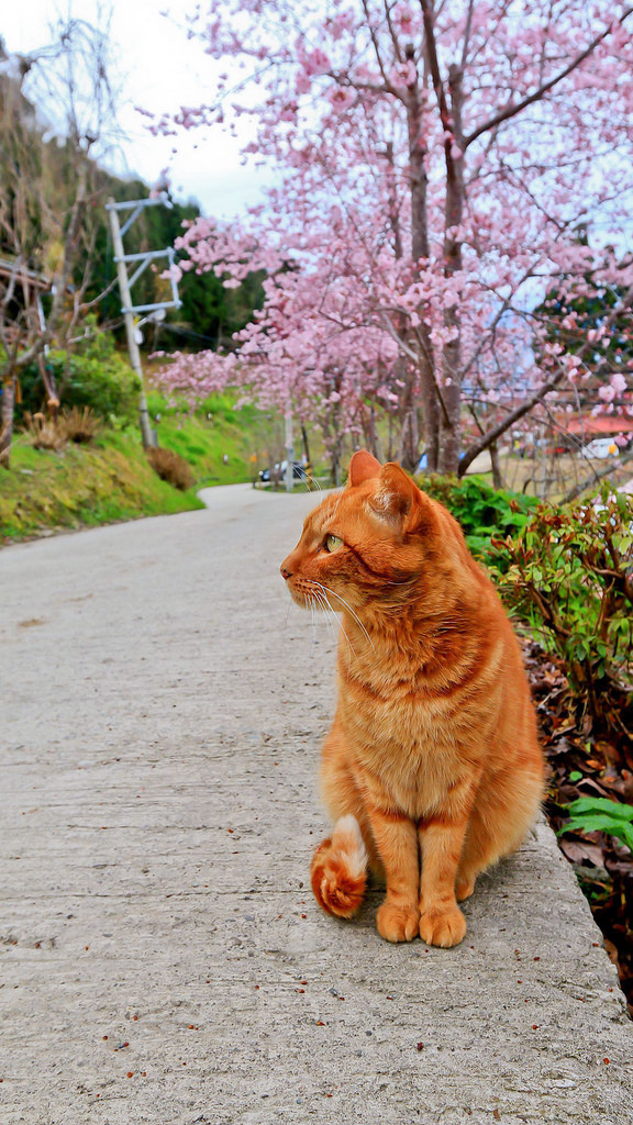 28642738_10216118199095653_1351558274_o