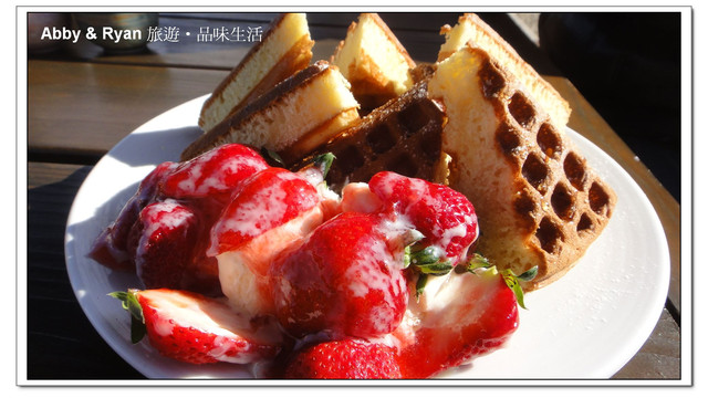 【桃園復興】日本賞櫻？！千島櫻滿開．恩愛農場