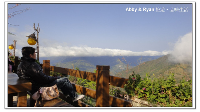 【桃園復興】日本賞櫻？！千島櫻滿開．恩愛農場