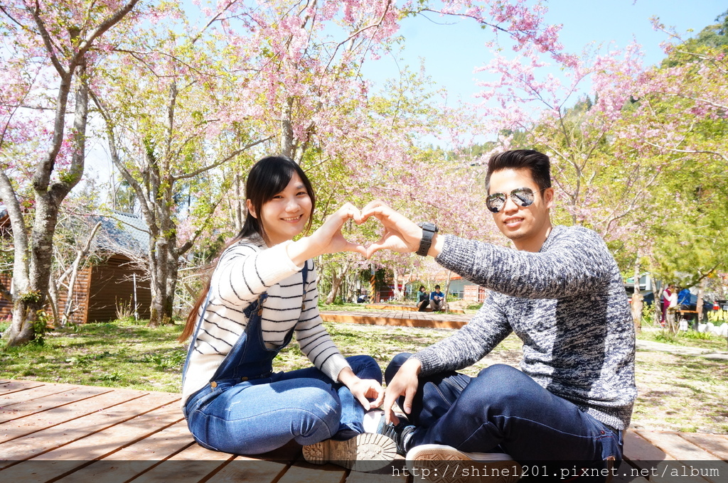 拉拉山恩愛農場賞櫻