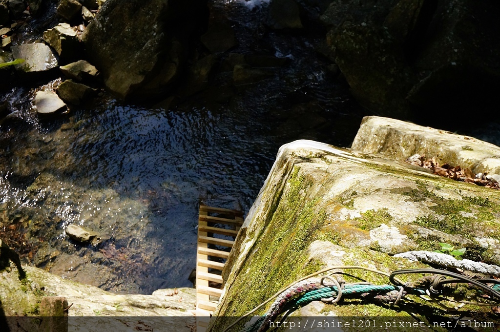 桃園復興鄉景點-鐵木瀑布