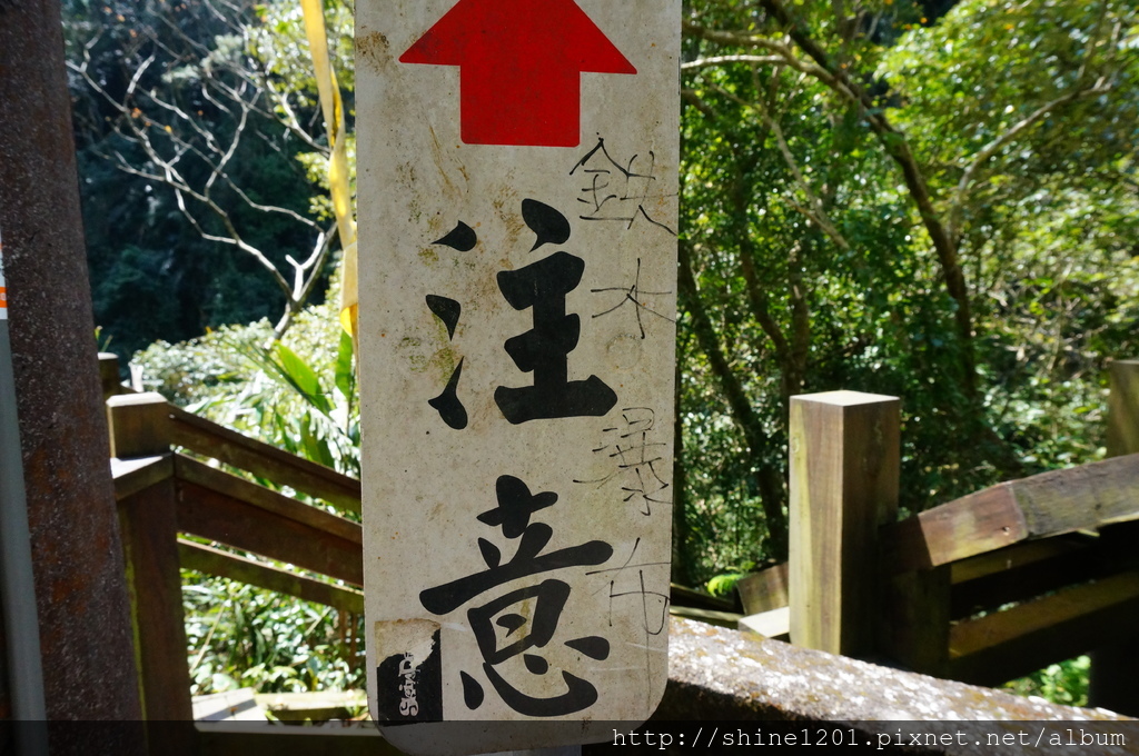 桃園復興鄉景點-鐵木瀑布